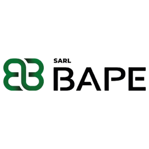Logo du client de Bloom Assist, BAPE (Baudouin Audit Prévention Expertise)